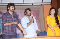 Prema Entha Pani Chese Narayana Press Meet